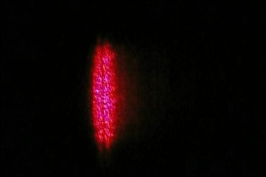 image03-14.jpg